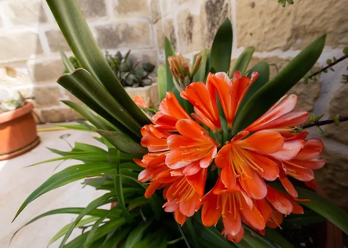 Sweet Life Gozo - Boutique Living 4*